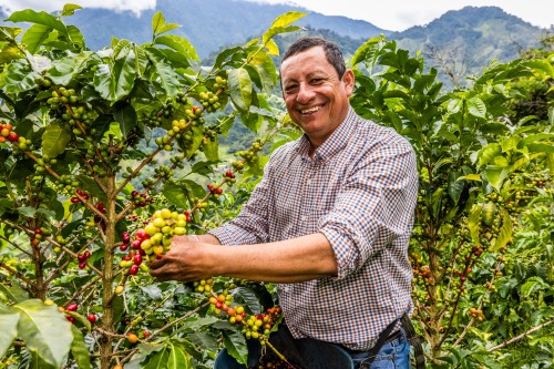 Productor de Caravela Coffee